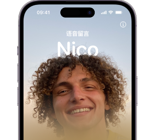 大兴苹果15服务站分享iPhone15实时语音留言开启方法 